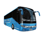 settori bus